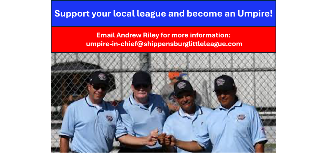 Interested in Umpiring?
